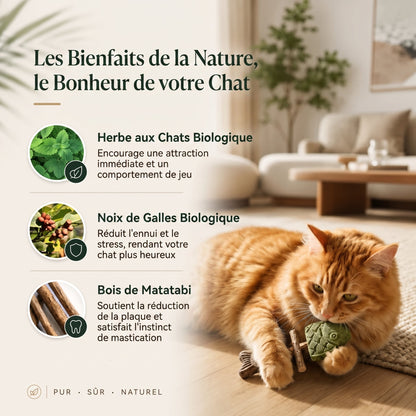 Jouet à mâcher dentaire pour chat en forme d'arête de poisson 🍁💖