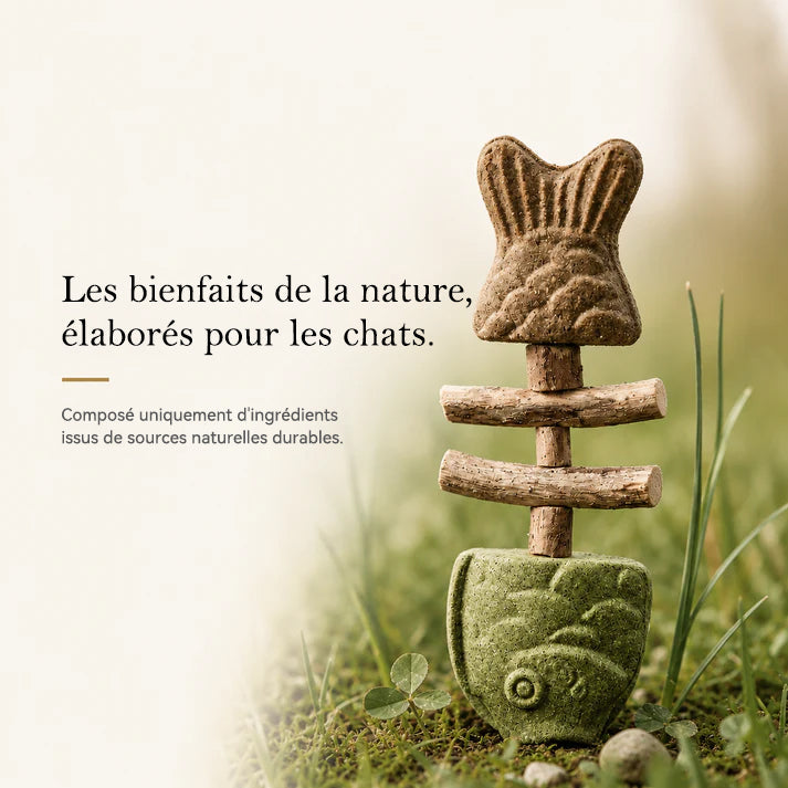 Jouet à mâcher dentaire pour chat en forme d'arête de poisson 🍁💖