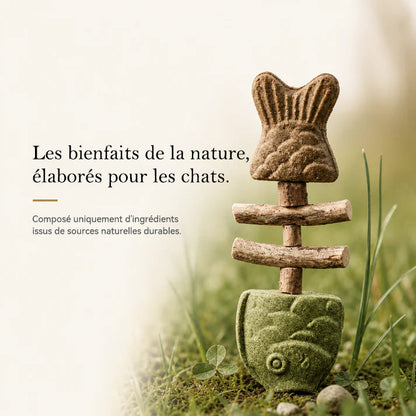 Jouet à mâcher dentaire pour chat en forme d'arête de poisson 🍁💖