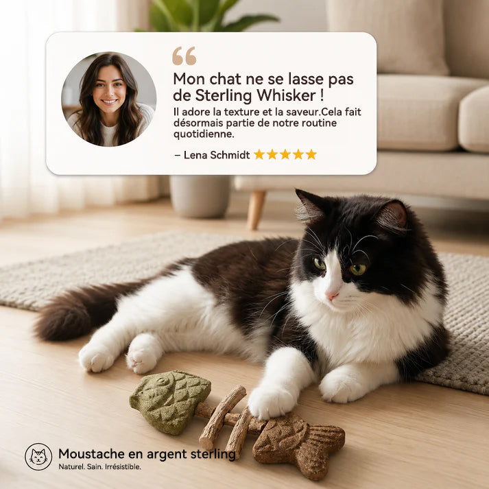 Jouet à mâcher dentaire pour chat en forme d'arête de poisson 🍁💖