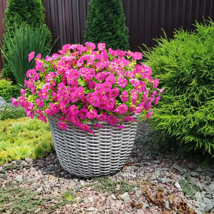 🌼💖🔥Dernier jour : 60 % de réduction🔥 Fleurs de pétunias artificielles résistantes aux UV 2026