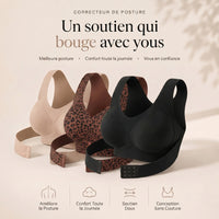 ⭐ Pack 3 (Meilleure Offre)