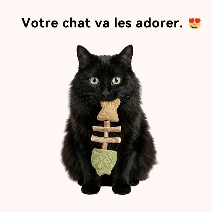 Jouet à mâcher dentaire pour chat en forme d'arête de poisson 🍁💖